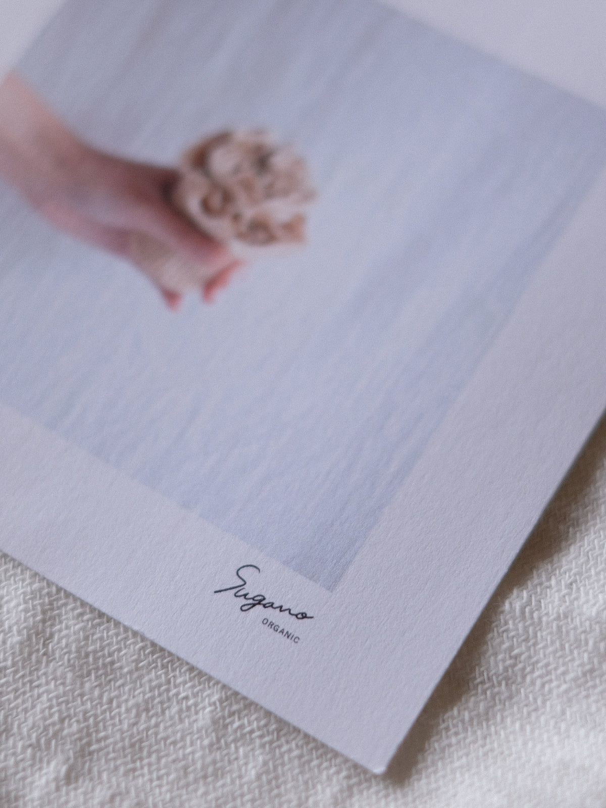 母の日に贈る、<br>アームカバーギフトセット