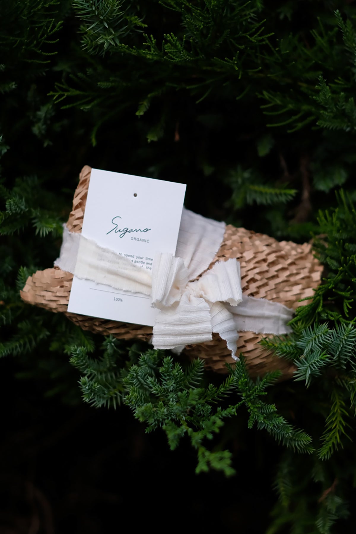 スリープギフト